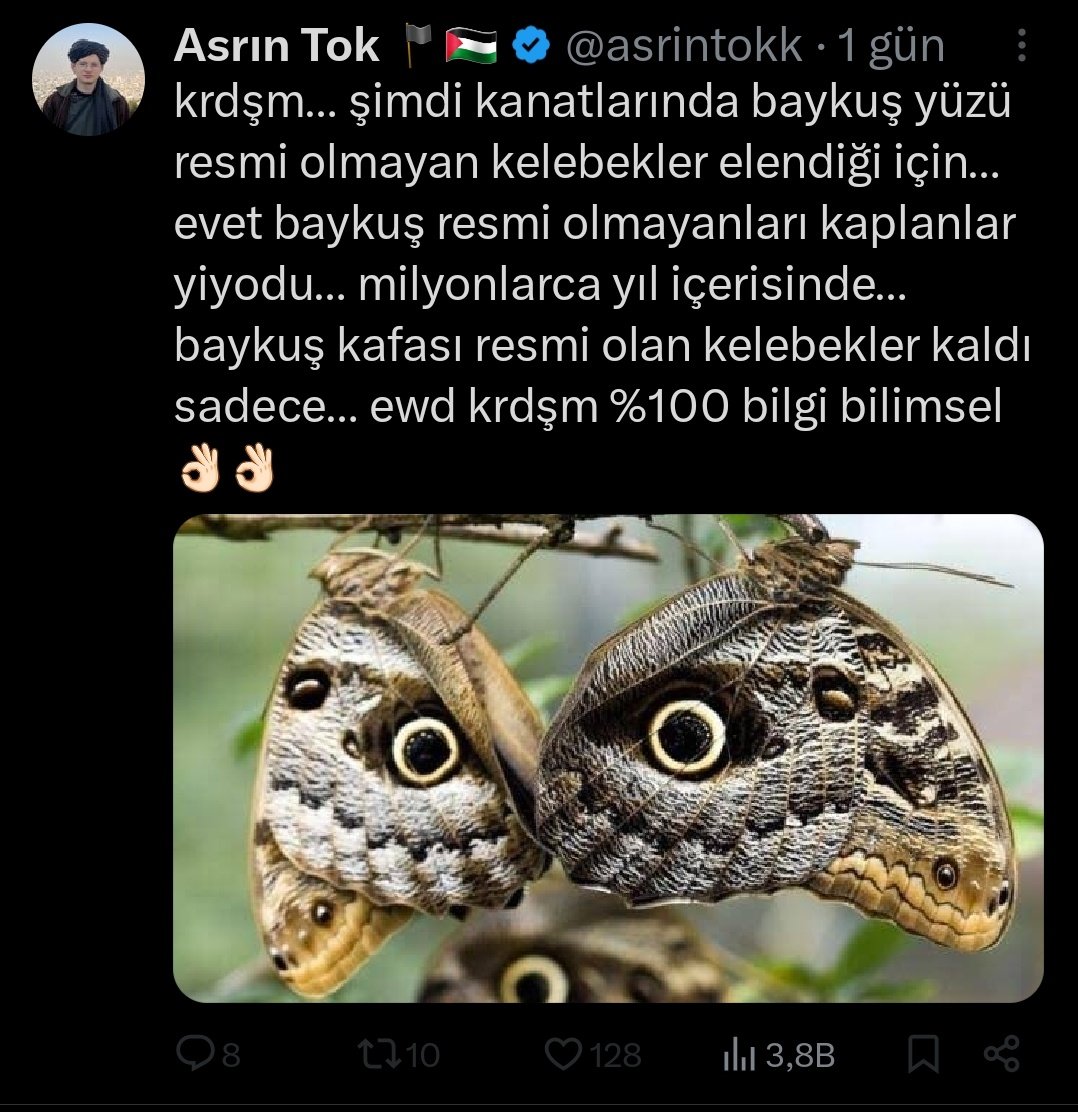 cevabın harbiden bu olması yarıyor mesela,

1) kelebek popülasyonunda kanat rengi ve deseni açısından genetik çeşitlilik vardır. (mutasyon ve eşeyli üreme)

2) buna benzer desenlerden çekinme, veya kelebek olduğunu ayırt edememe yönünde (farklı teoriler var) eğilimleri olan