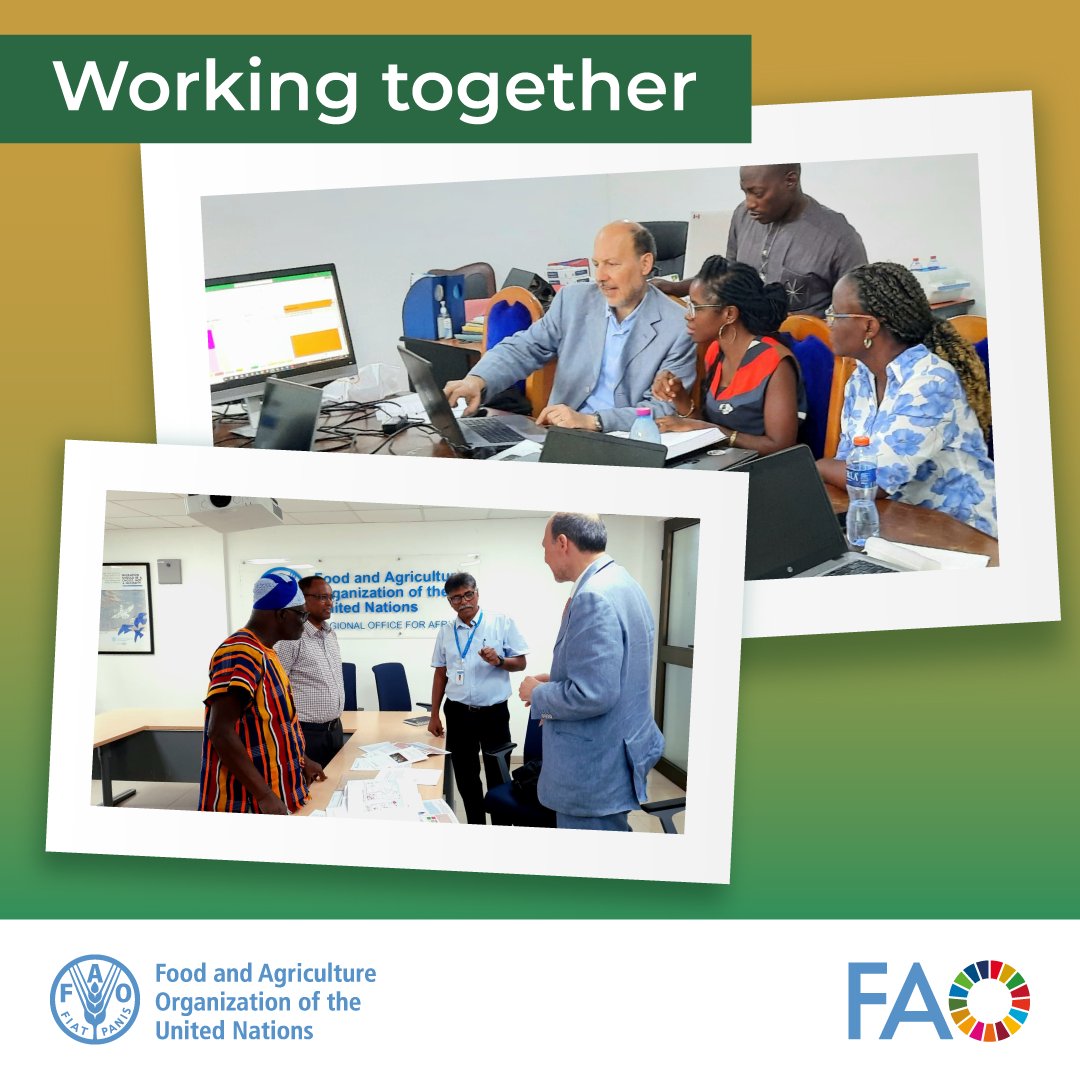 FAO Livestock (@faolivestock) on Twitter photo .<a href="/gatesfoundation/">Gates Foundation</a>-supported <a href="/FAO/">Food and Agriculture Organization</a> training in Ghana: progressively controlling #tsetse transmitted animal #trypanosomosis by enhancing disease intelligence
🌐 FAO & Trypanosomosis: fao.org/paat
🌐Project DIMCAT: bit.ly/3GIZ5SG .<a href="/gatesfoundation/">Gates Foundation</a>-supported <a href="/FAO/">Food and Agriculture Organization</a> training in Ghana: progressively controlling #tsetse transmitted animal #trypanosomosis by enhancing disease intelligence
🌐 FAO & Trypanosomosis: fao.org/paat
🌐Project DIMCAT: bit.ly/3GIZ5SG