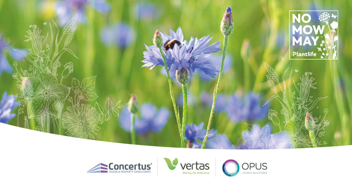 We’re partnering with <a href="/UniofSuffolk/">University of Suffolk</a> to join <a href="/Love_plants/">Plantlife</a>’s No Mow May campaign, encouraging individuals to let wildflowers grow to support biodiversity. 

Read more about No Mow May and how we’re supporting the campaign here: vertas.co.uk/no-mow-may-ver…