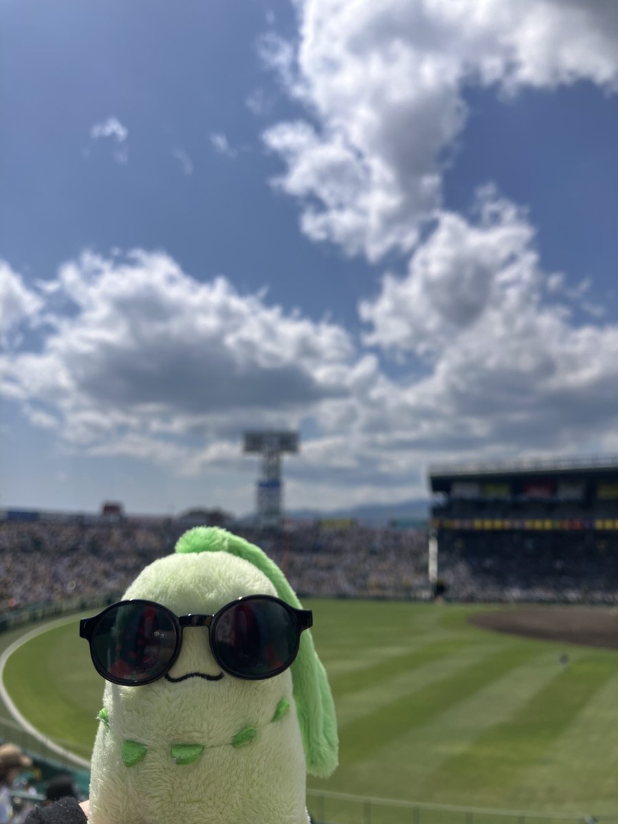 チコリータと2日連続野球観戦に行ってました…⚾️