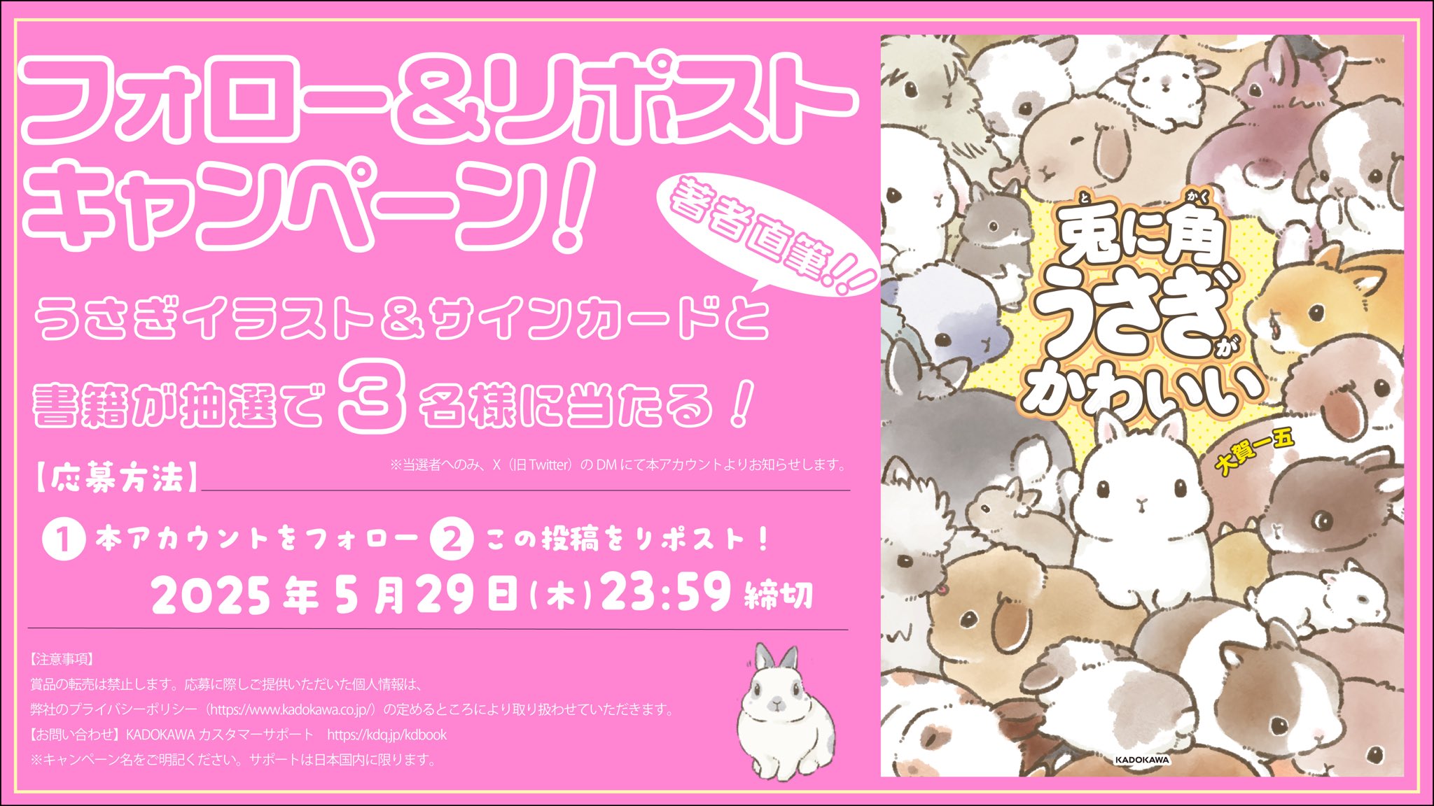 直筆サイン本 うさぎとロープ 鉢野うら直筆等身大キャライラスト