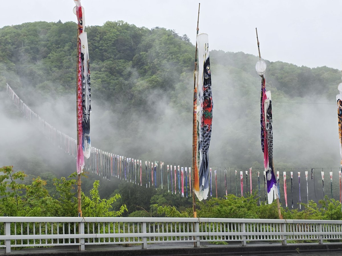 竜神大吊橋鯉のぼり祭り！！
 #竜神大吊橋 #GW