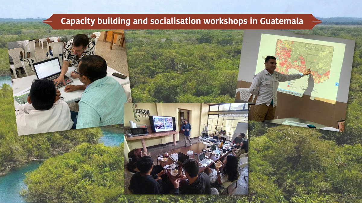 Mynor Sandoval hosted capacity building and socialisation workshops in Guatemala's Maya Forest, supported by the Robertson Scholarship.

A second workshop trained students and researchers at San Carlos de Guatemala University in QGIS, Google Earth Engine, &amp; biological monitoring.