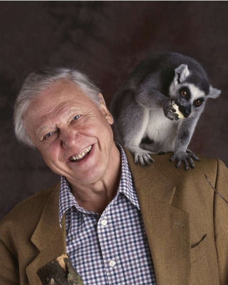 Happy birthday Sir David Attenborough.

A British legend and icon.

99 years of age today.

What an amazing human . We love you xxx