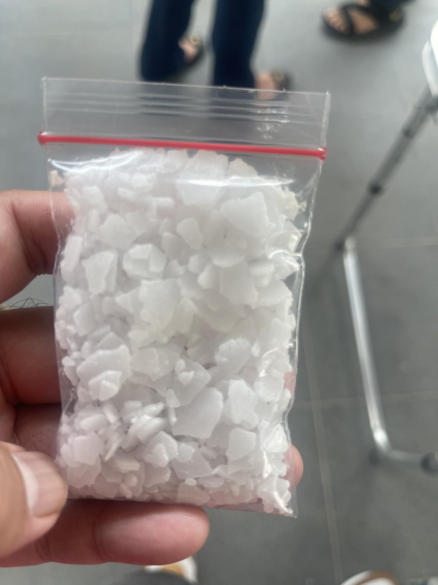 beefy hairy bear BKK 25-30MAR🇹🇭 tweet media