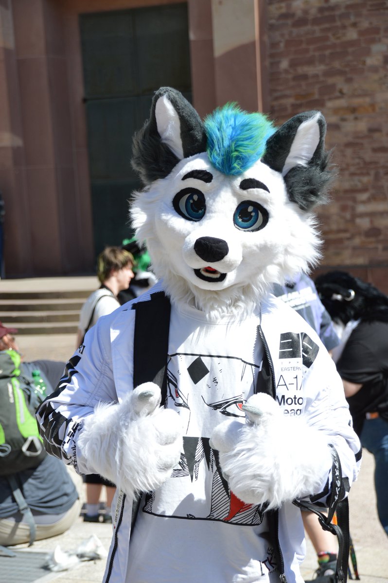 🦊👍

#FursuitEveryday