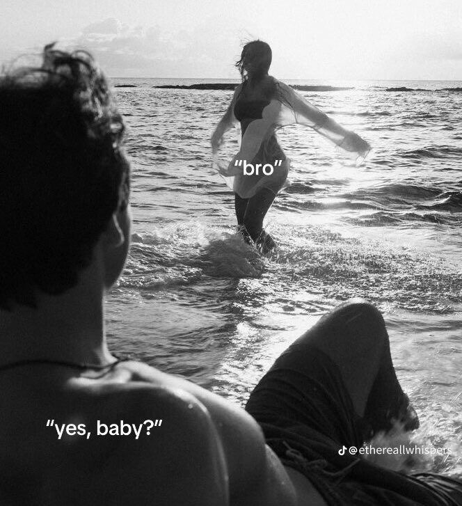 🇫🇷🇩🇿 tweet media