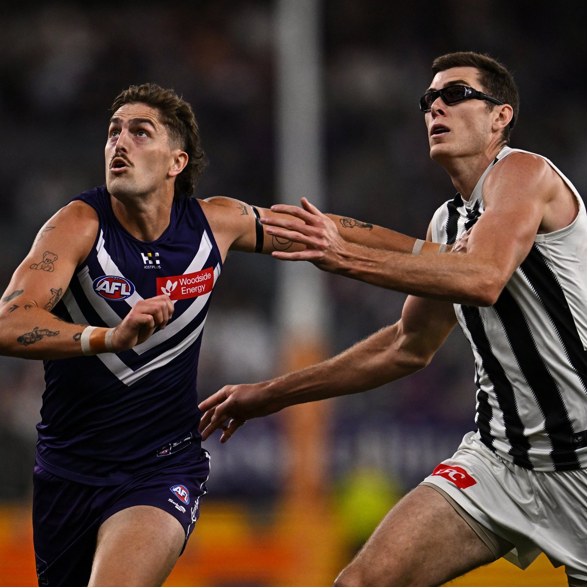 Fremantle Dockers tweet media