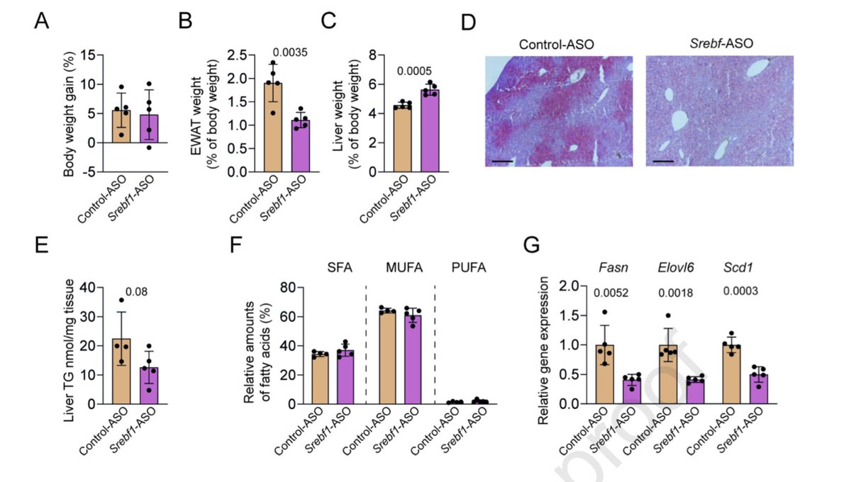 Daniel J Drucker (@danieljdrucker) on Twitter photo Sucrose- #microbiota interactions and SREBP-1c are required for DNL and hepatic steatosis in the absence of dietary fat sciencedirect.com/science/articl… <a href="/MolMetab/">Molecular Metabolism</a> Sucrose- #microbiota interactions and SREBP-1c are required for DNL and hepatic steatosis in the absence of dietary fat sciencedirect.com/science/articl… <a href="/MolMetab/">Molecular Metabolism</a>