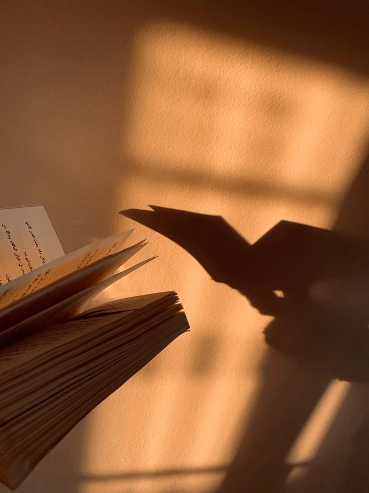 الكتب لا تغيّر العالم مباشرة، لكنها تغيّر من يغيّر العالم.