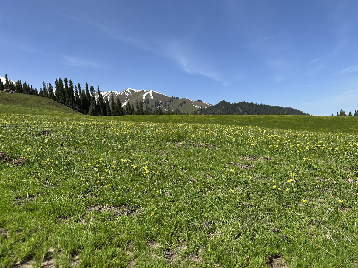 旅游累的 ghs 都没心情…