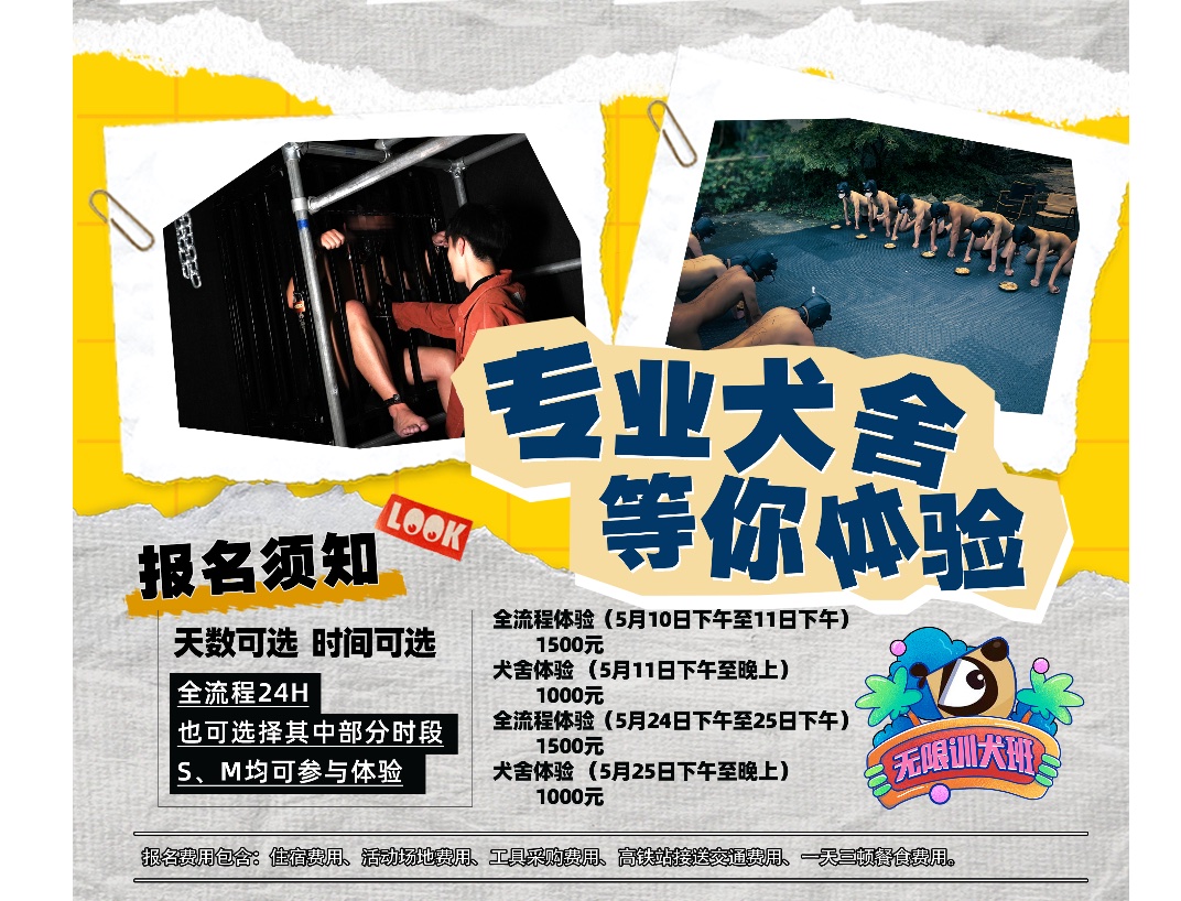 5月训犬班日程📅
【10日 11日 24日 25日】
欢迎狗狗们报名，
也欢迎S来报名～