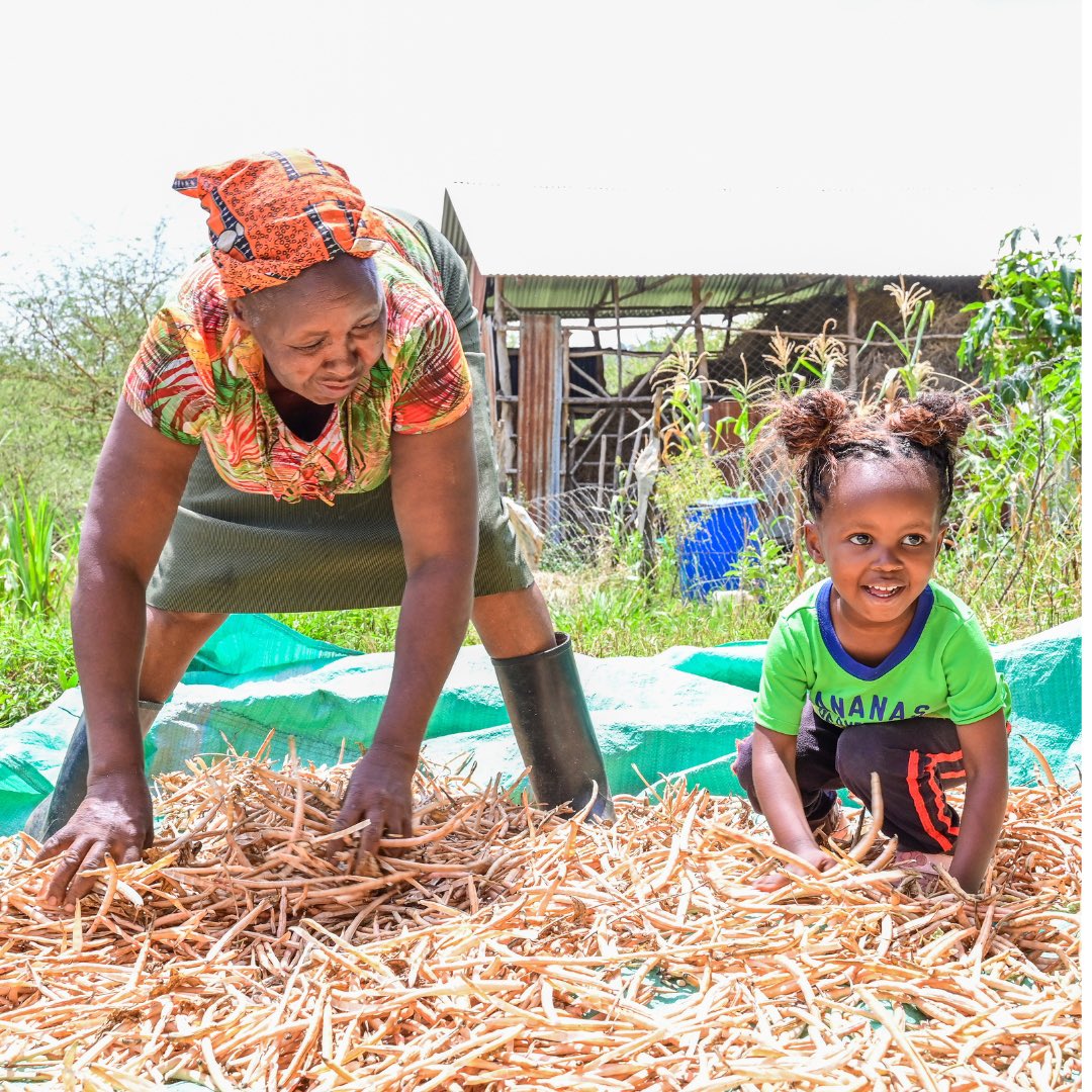 Through the #GREEN project, we’re helping farmers in Makueni, Kajiado, and Narok counties thrive, thanks to support from #ANCP.
 
“When there is a delay in food preparation, even your day’s schedule is interrupted. We no longer have such instances. In fact, we are saving time and