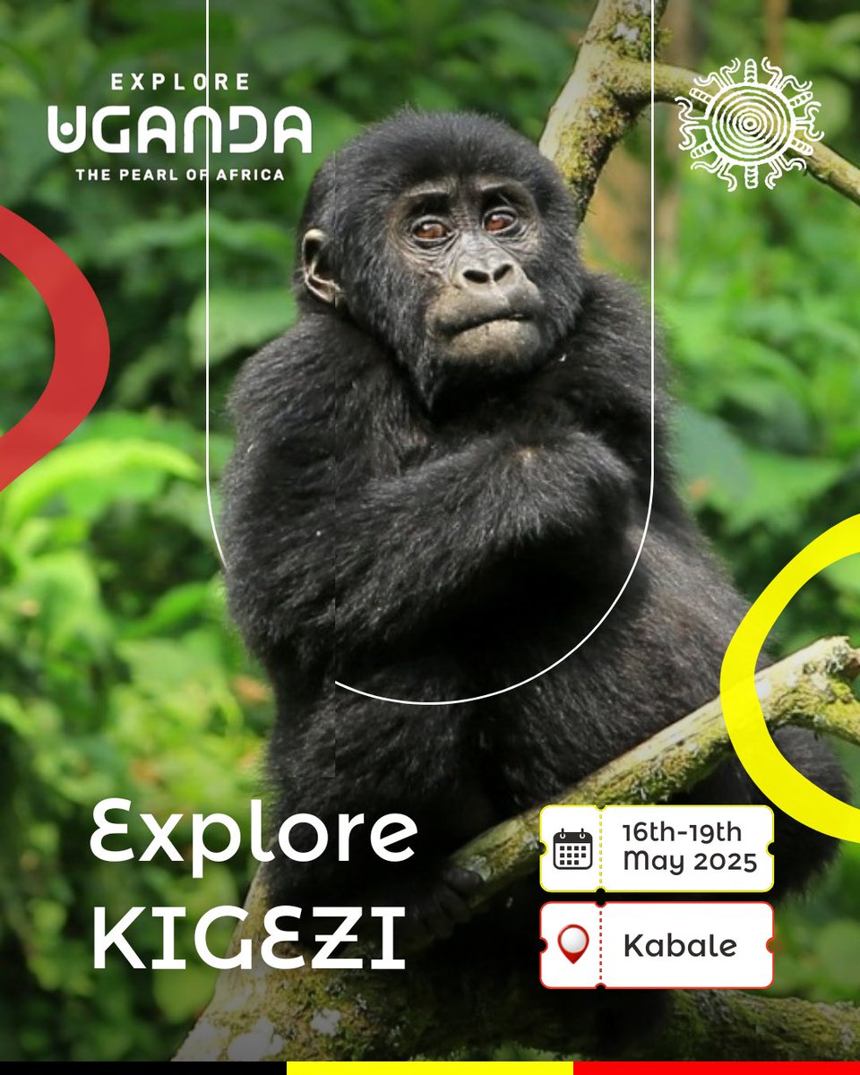 hopeebnezer1209's tweet photo. Get ready to uncover the jewel of Uganda's tourism industry! Kigezi, home to over half of the world's majestic Mountain Gorillas, waiting to be explored. Join the #ExploreKigezi and experience the region's unparalleled beauty and wildlife
@ExploreUganda @zakialucky11  @umar_mu https://t.co/vY5MfNRigT