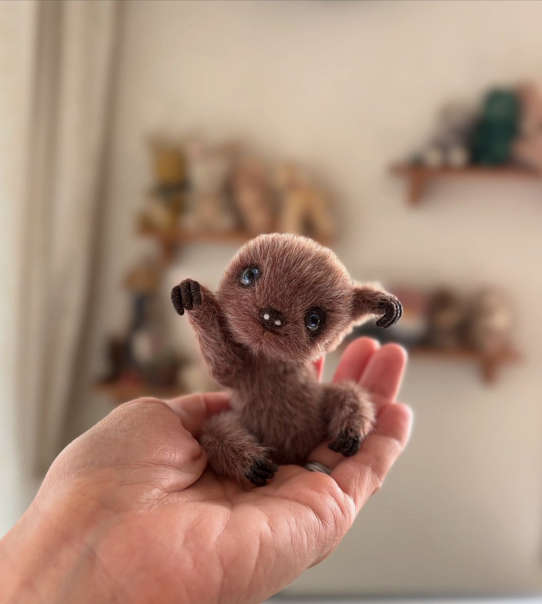 久しぶりのナマちゃんは、ちっこい手乗りナマちゃん🦥

 #ナマケモノ