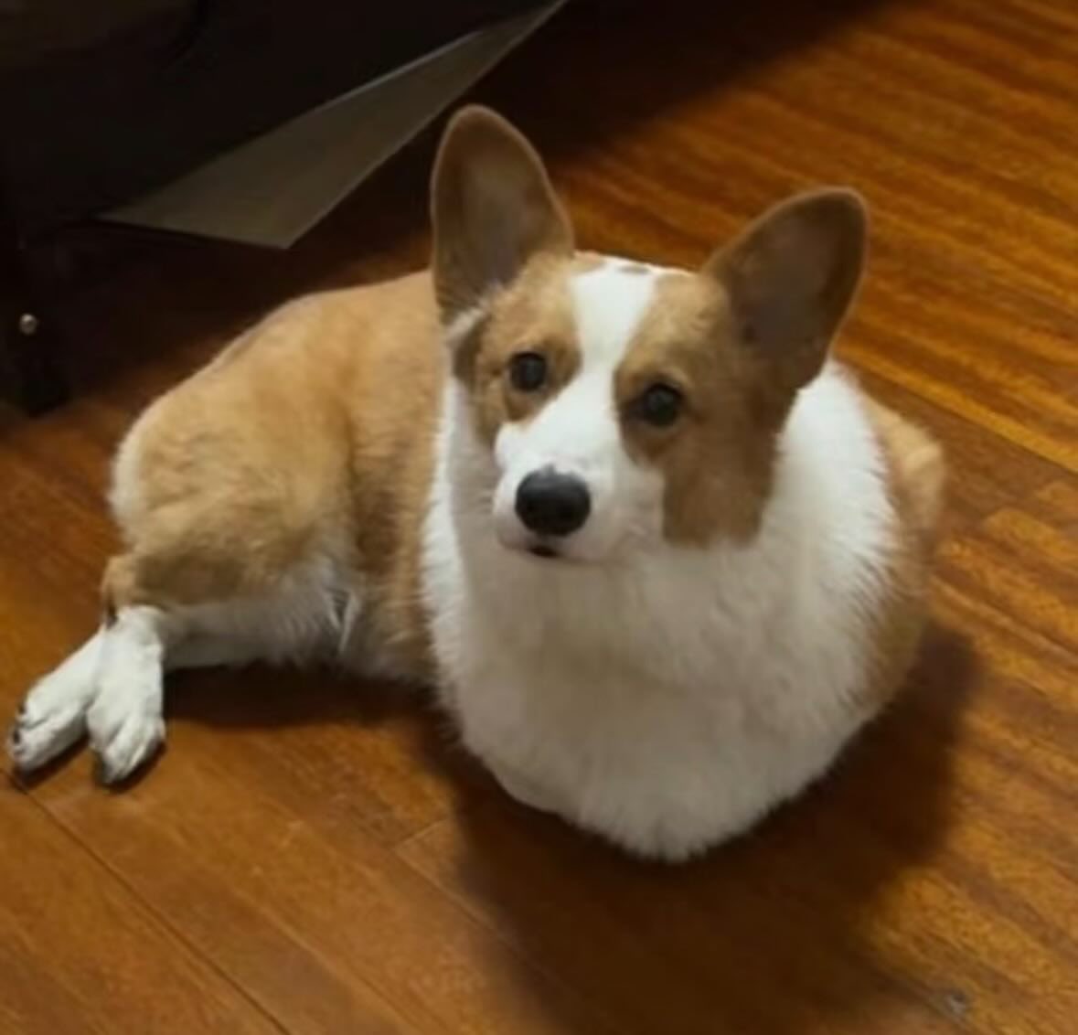 cngnf3's tweet photo. @littlekishuan https://t.co/cCXoCO4XYQ