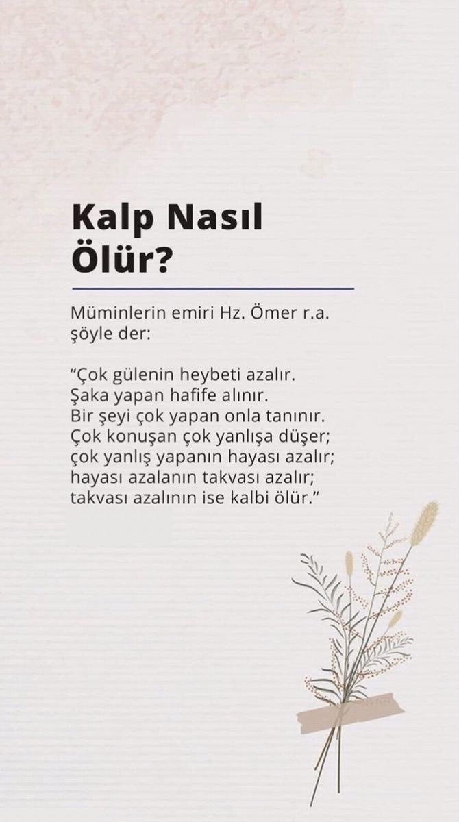 ayaserenat's tweet photo. https://t.co/kA7FaRdkJg