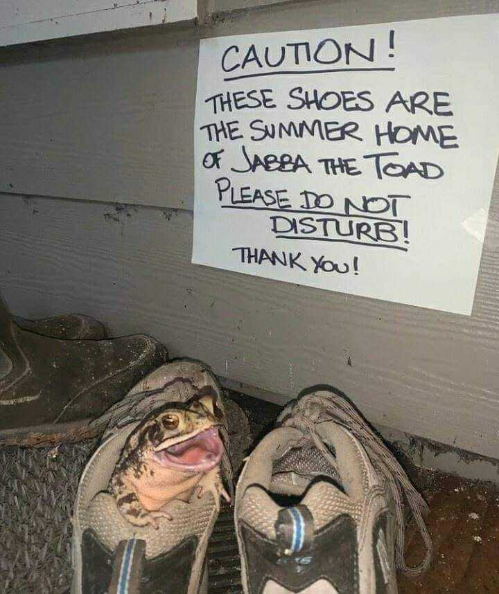 WholesomeMemes tweet media