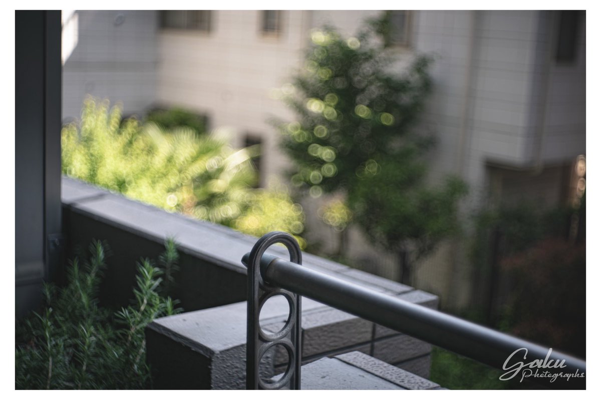 GakuRosh's tweet photo. 🤟🤟🤟
Meyer-Optik Domiplan 50mm F2.8
いい天気!気持ちいい•••🥱
#α7 #oldlens #オールドレンズ #MeyerOptik #Domiplan50mmF28 https://t.co/0K6KM2fntq