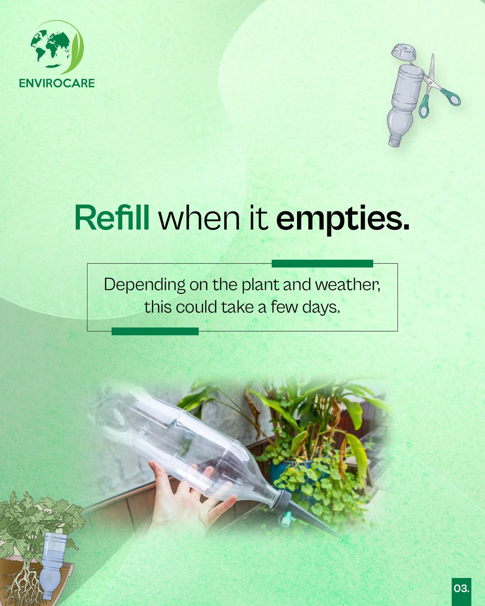envirocare4you's tweet photo. π§ Thirsty plants? Not on our watch! πΏ
Turn your old bottles into genius self-watering tools! πβ¨
No more overwatering, no more wilted leavesβjust happy, hydrated greens. πβ»οΈ
#planthacks #diygardening #EnviroTips #SustainableSolutions #saveplants #Recycle #GreenHabits https://t.co/YbH6gao066