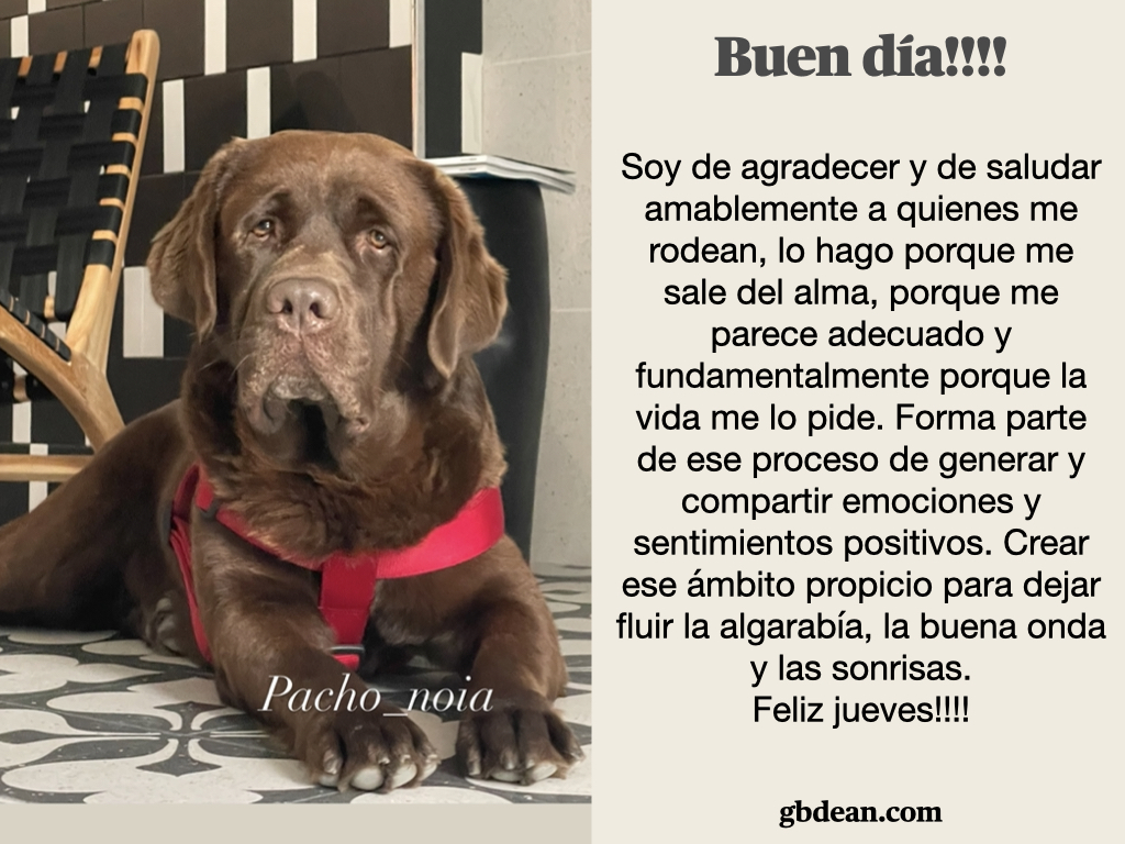 GerardoBlancoDe's tweet photo. Soy de agradecer y de saludar amablemente a quienes me rodean, lo hago porque me sale del alma, porque me parece adecuado y fundamentalmente porque la vida me lo pide. Forma parte de ese proceso de generar y compartir emociones y sentimientos positivos. Crear..#amor #love #smiles https://t.co/oAOocjtUst