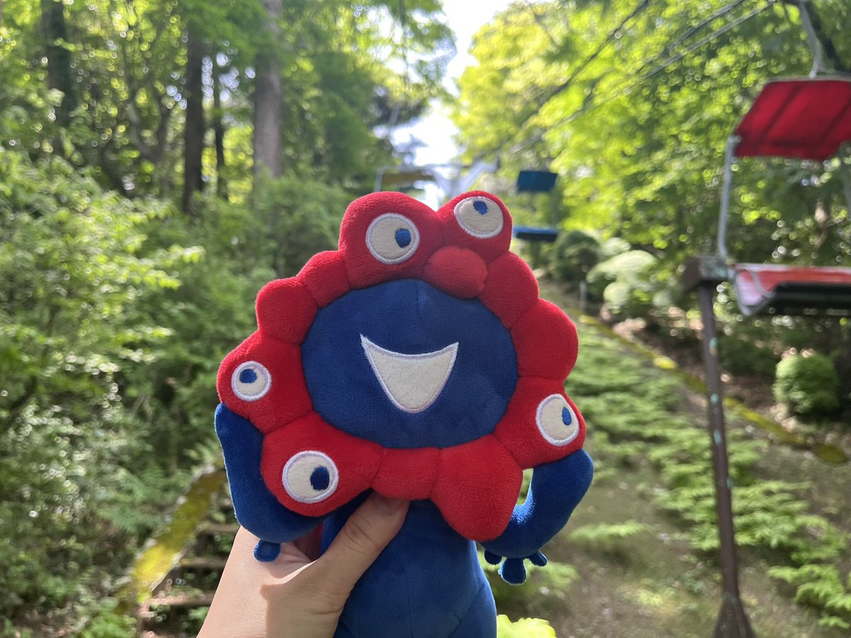 ツナ子先生にお付き合いいただいて高尾山に行ってきました！お天気に恵まれてよかったです✌️
