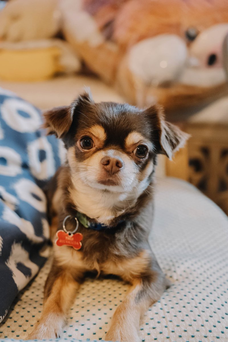 too cute not to share