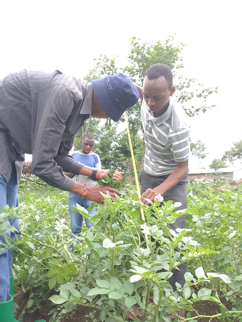 Elysee0fficial's tweet image. Data is the farmer’s compass.
It helps us know what works, what doesn’t and where to go next.
Better data equals better harvests!
#DataCollection #SmartFarming