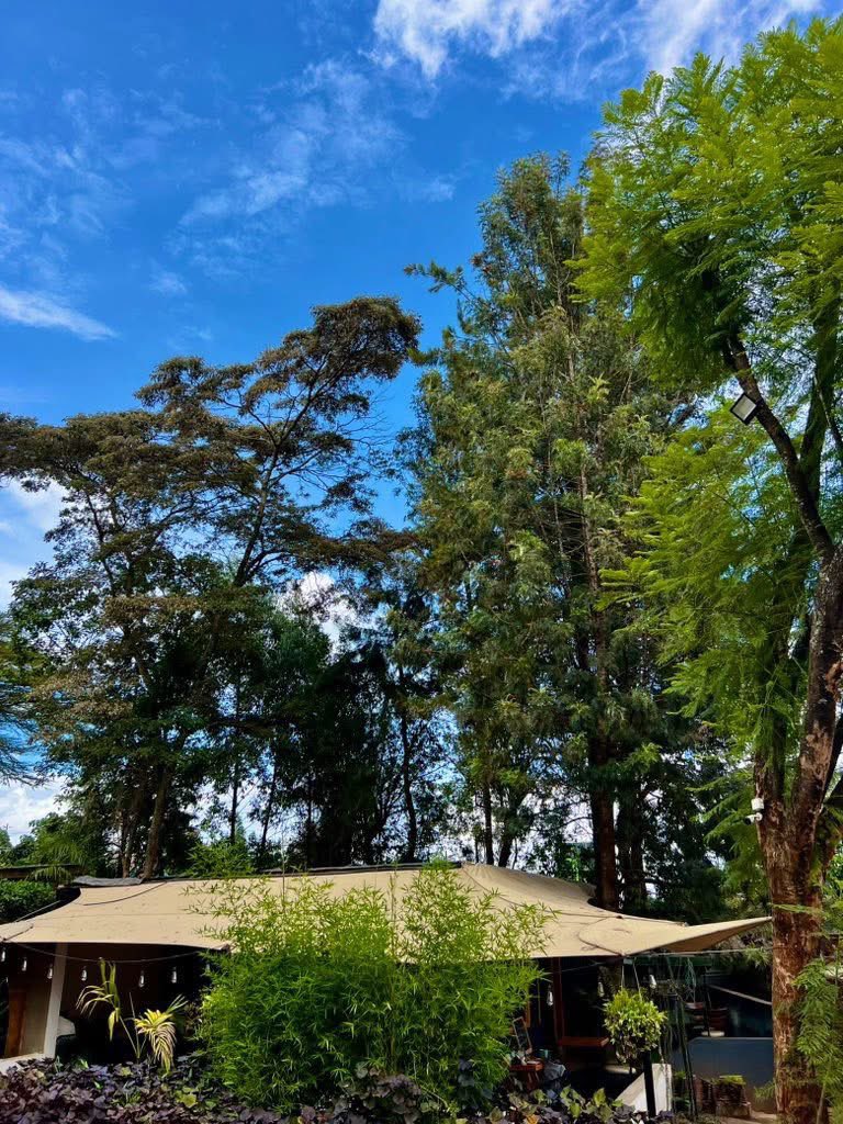 The Farmercist tweet media