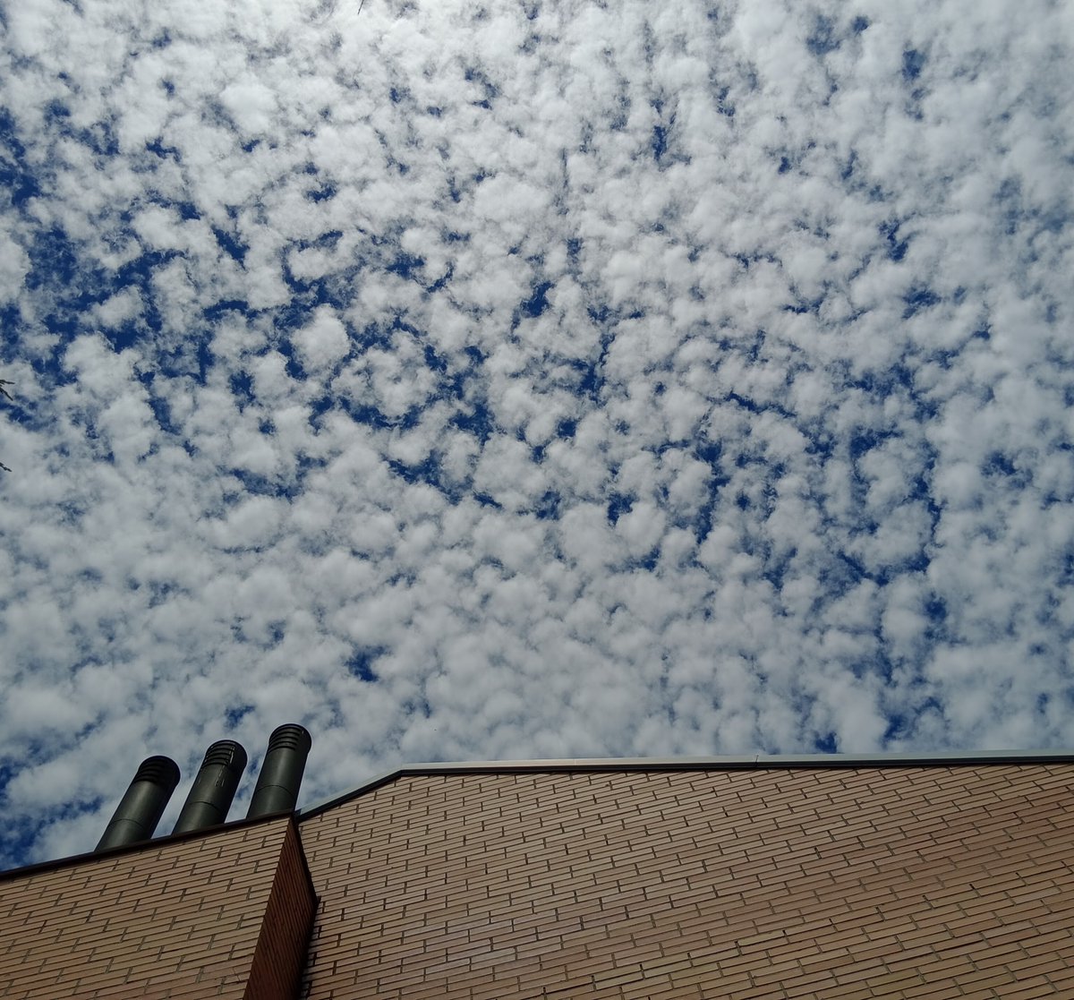 "...encender el fuego,
como hago cada mañana,
para saber que estoy vivo
y que con el humo,
que se escapa por la chimenea,
se marcha algo de mí..."

Fernando Alda 

Ínsula Barataria: Almenaras de sombra, 11 insulabaratariaa.blogspot.com/2025/05/almena…