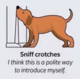 Sometimes when people speak to pup, it likes to imagine theyre calling pup a good dog wagwag