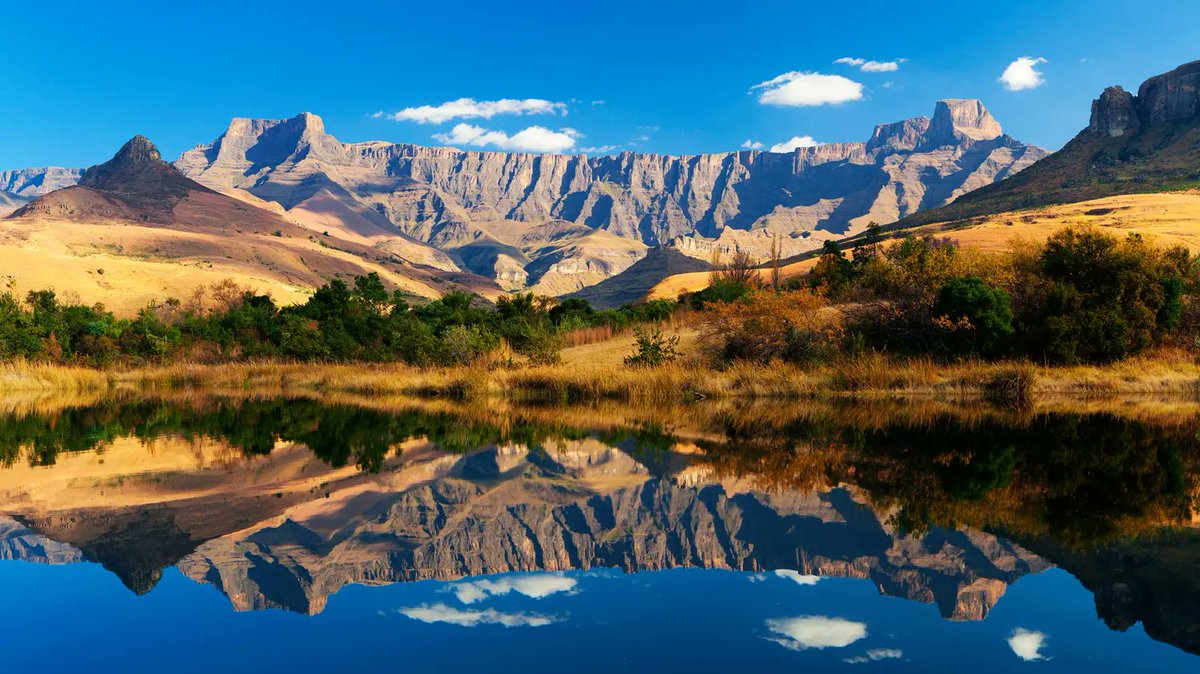 EsteGross's tweet image. Roer in Afrikaans.
In jou praat, huil, lag en loop ek, verbeel, dink ek my wêreld oop. Ek huil, word kwaad, aanvaar, praat oor onreg en dít wat nog reg is.
Mag jou woorde in skares en kontoere oor berge en in dale, oor die wêreld heen, bly dans.
Geluk, Afrikaans! #Afrikaans100