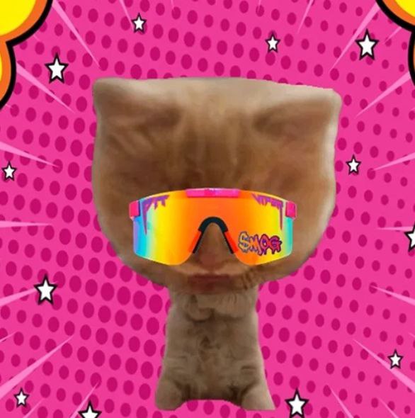 Vibe check✅ <a href="/mogcoin/">MOG COIN</a>  <a href="/solana/">Solana</a>