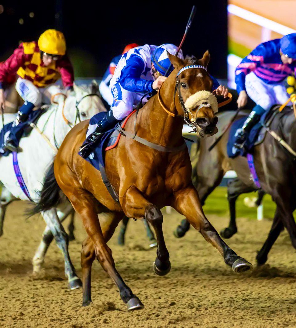 Coral Racing Club (@crcofficial) on Twitter photo ๐๐โ๐ ๐๐๐๐๐๐๐! ๐ตโช๏ธ
๐๐ฌ๐ฉ๐ข๐ซ๐ ๐๐จ ๐๐ฅ๐จ๐ซ๐ฒ bids for his third win of the year in the 8:55 at <a href="/ChelmsfordCRC/">Chelmsford City Racecourse</a> this evening with <a href="/ONaillers2010/">Kieran O Neill</a> in the saddle once again ๐
Best of luck to his ๐ lucky owners for the day as well as all the team at <a href="/ahaynesracing/">Alice Haynes Racing</a> ๐๐โ๐ ๐๐๐๐๐๐๐! ๐ตโช๏ธ
๐๐ฌ๐ฉ๐ข๐ซ๐ ๐๐จ ๐๐ฅ๐จ๐ซ๐ฒ bids for his third win of the year in the 8:55 at <a href="/ChelmsfordCRC/">Chelmsford City Racecourse</a> this evening with <a href="/ONaillers2010/">Kieran O Neill</a> in the saddle once again ๐
Best of luck to his ๐ lucky owners for the day as well as all the team at <a href="/ahaynesracing/">Alice Haynes Racing</a>