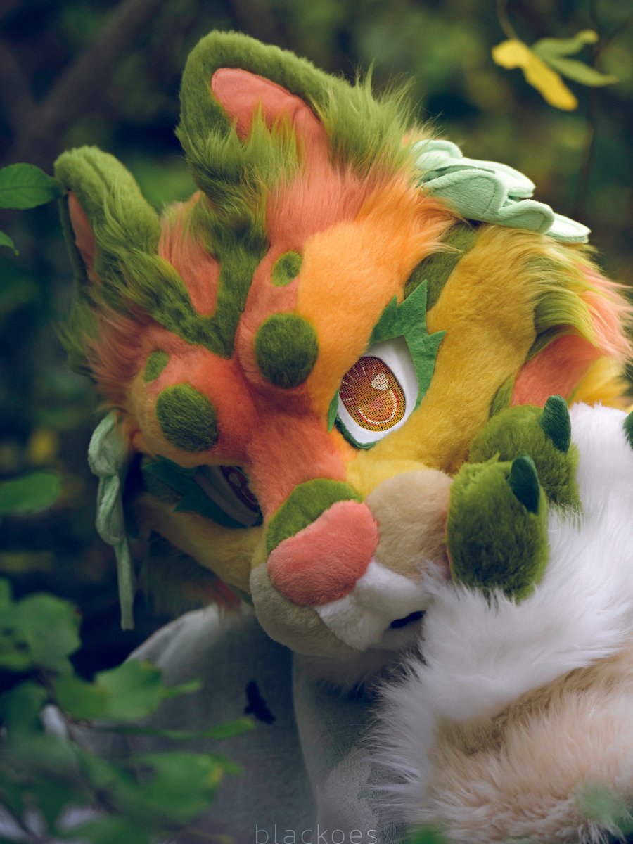 blackoes tweet media