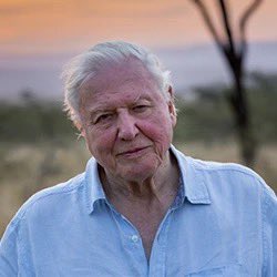 JeremySpake's tweet image. A very Happy 99th Birthday to legendary broadcaster Sir David Attenborough #DavidAttenborough