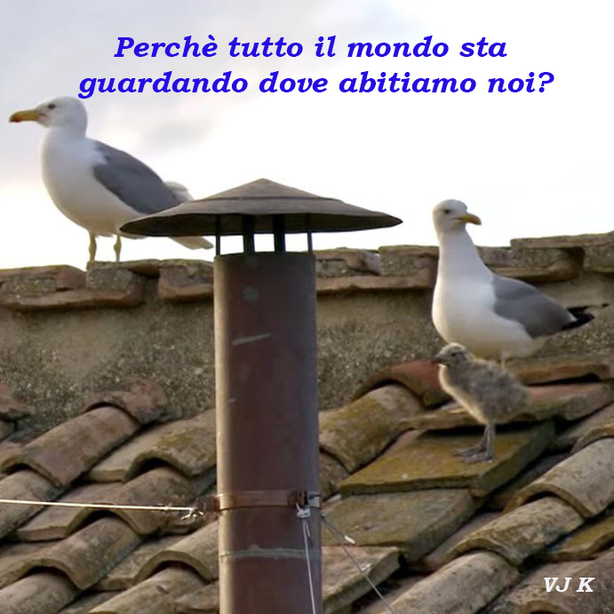 tasaday (@tasaday5) on Twitter photo 
