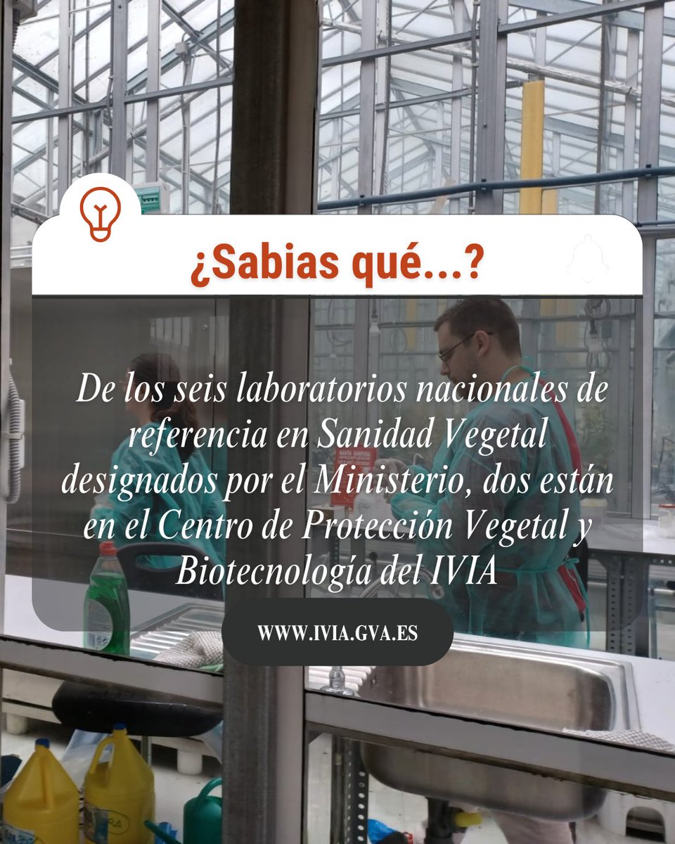 🧪El <a href="/GVAivia/">IVIA</a>, referencia nacional 👇👇👇

👨‍🔬 Laboratorio para la identificación y diagnóstico  de  bacterias fitopatógenas
👩‍🔬 Laboratorio para la identificación y diagnóstico de virus, viroides y fitoplasmas de especies vegetales leñosas