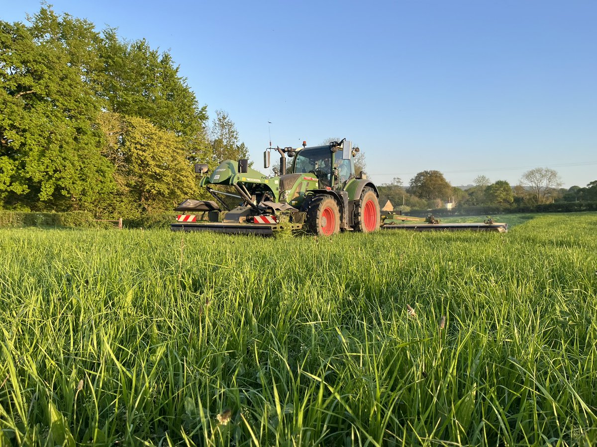 Nick Fone tweet media