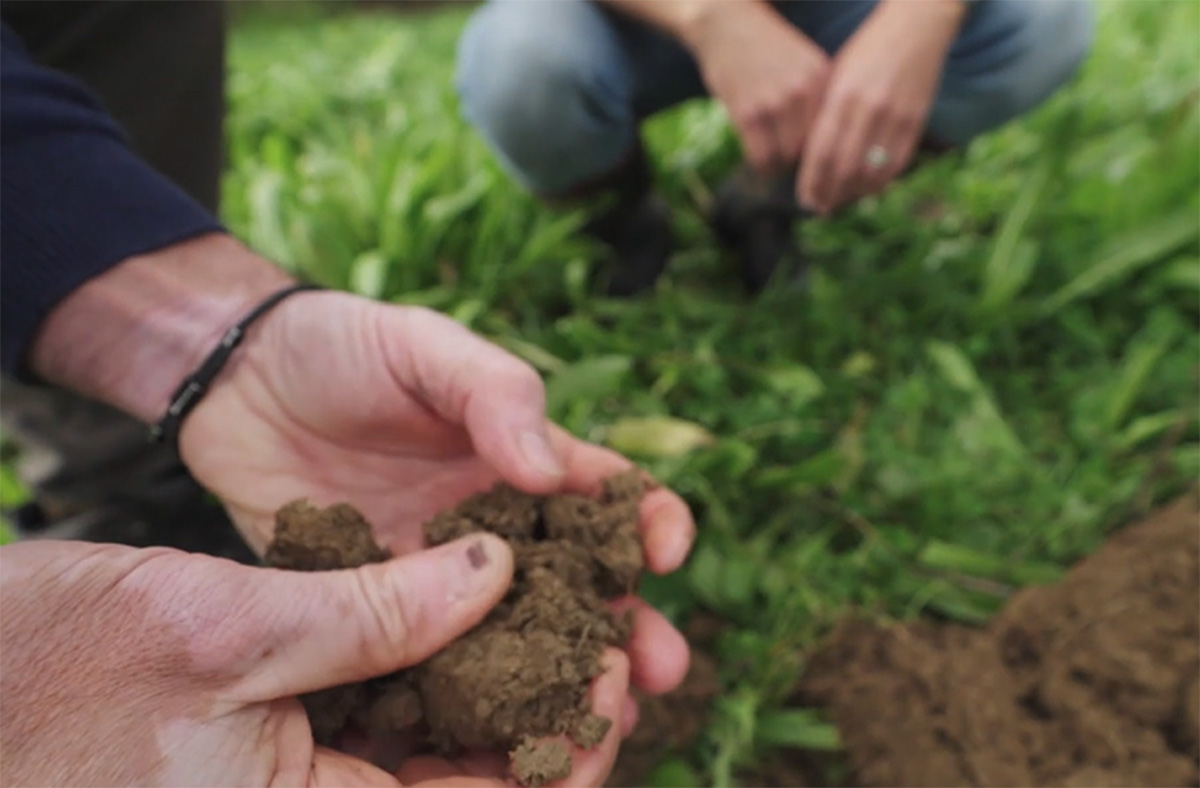 ITNBusiness's tweet image. Healthy soil = healthy planet. 🌱💚
This #InternationalCompostAwarenessWeek we&apos;re celebrating compost – a simple, powerful way to take climate action.
Let’s feed the soil, not the bin.
👉 ow.ly/fLe550VP14h
#SoilHealth #Sustainability #Compost #ITNBusiness