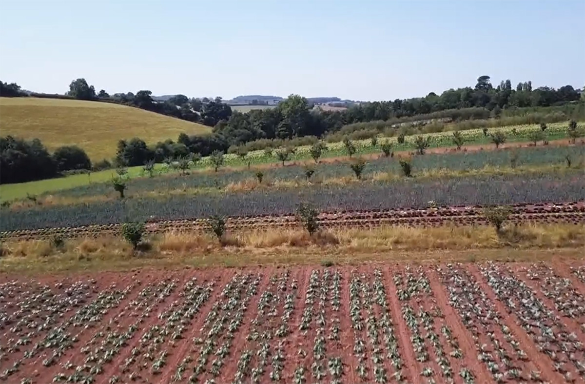 ITNBusiness's tweet image. Healthy soil = healthy planet. 🌱💚
This #InternationalCompostAwarenessWeek we&apos;re celebrating compost – a simple, powerful way to take climate action.
Let’s feed the soil, not the bin.
👉 ow.ly/fLe550VP14h
#SoilHealth #Sustainability #Compost #ITNBusiness