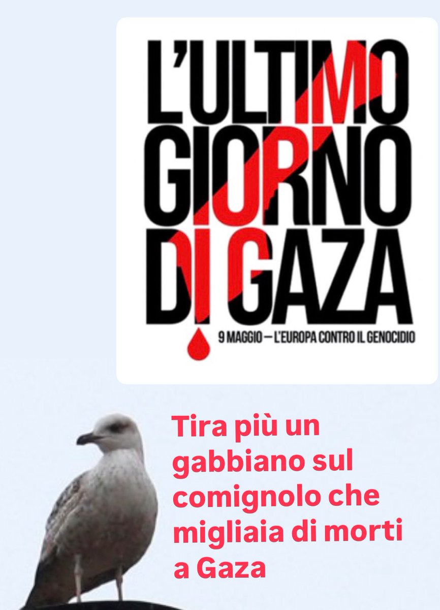 #ultimogiornodigaza