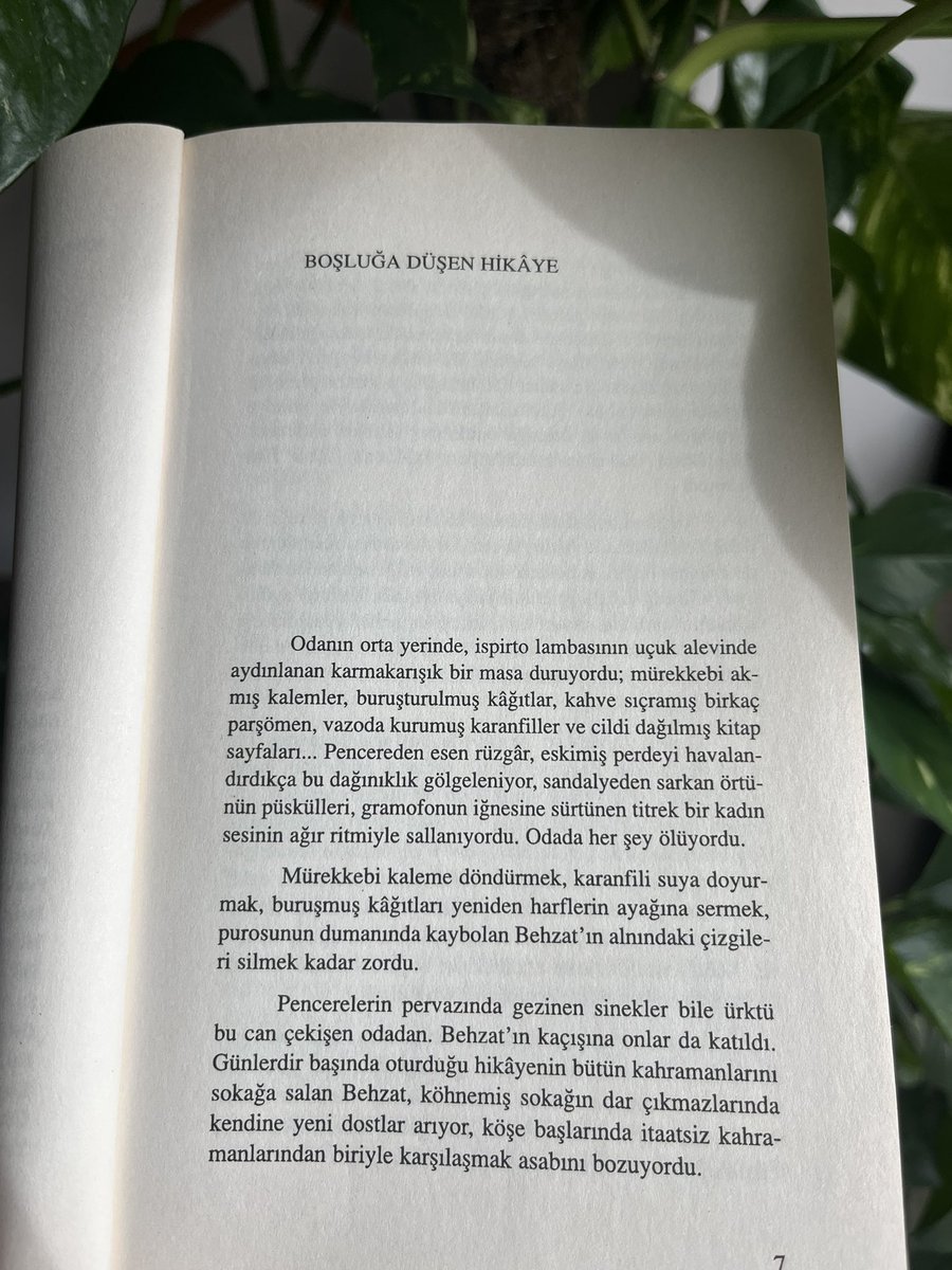 Pencereden esen rüzgâr, eskimiş perdeyi havalandırdıkça bu dağınıklık gölgeleniyor, sandalyeden sarkan örtünün püskülleri, gramofonun iğnesine sürtünen titrek bir kadın sesinin ağır ritmiyle sallanıyordu. 

Odada her şey ölüyordu. 

📚Lacivert, Hümeyra Şahin Oktay