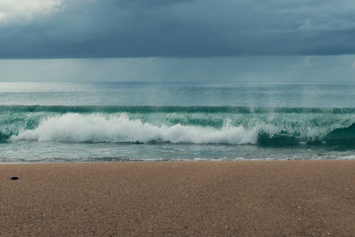 tokioflo (@tokioflo) on Twitter photo I just collected “Quiet Waves” by <a href="/iineslobo/">Inês Lobo🐺</a> on @skurpysocial skurpy.com/marketplace/co… I just collected “Quiet Waves” by <a href="/iineslobo/">Inês Lobo🐺</a> on @skurpysocial skurpy.com/marketplace/co…