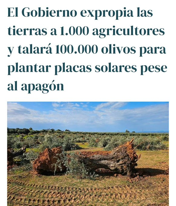Yo me pregunto:
- ¿No hay en España páramos, secarrales, eriales, yermos, baldíos,  zonas subdesérticas improductivas y de menor valor ecológico y fructífero para taparlos con placas solares?