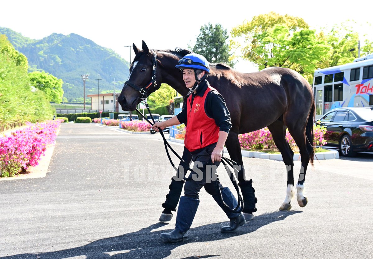 競馬】2025年5月8日 セレクトセールで約5億2千万で取引された