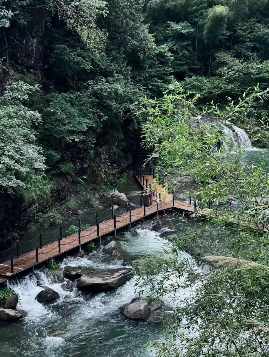 a_1023planet's tweet photo. “ 山里没有神,但能让你定定心神 ”
#ExploreAnjiInbound 🌲 #LiveGreenInAnji https://t.co/H82MojN1zp