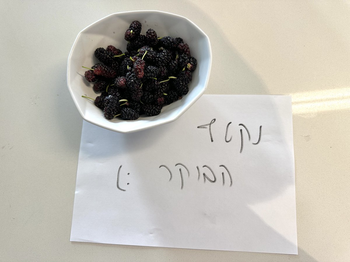 Omer Segev tweet media
