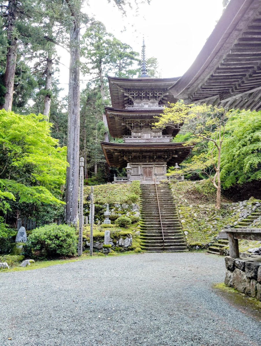 FWLMacZ95u95352's tweet image. #ZenJourney 🐟 #PeacefulReflections #NatureEscape
#DiscoverJapan 🇯🇵