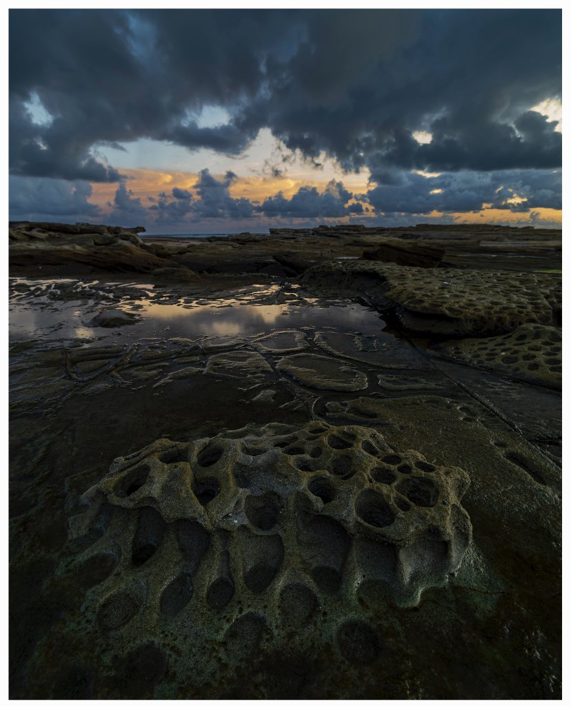 34_mediaOZ's tweet image. Natures pretty amazing 

#polarprointhewild #kuhlmountainculture #3leggedthing #canon #landscapephotographer #sunrise #sunshinecoast